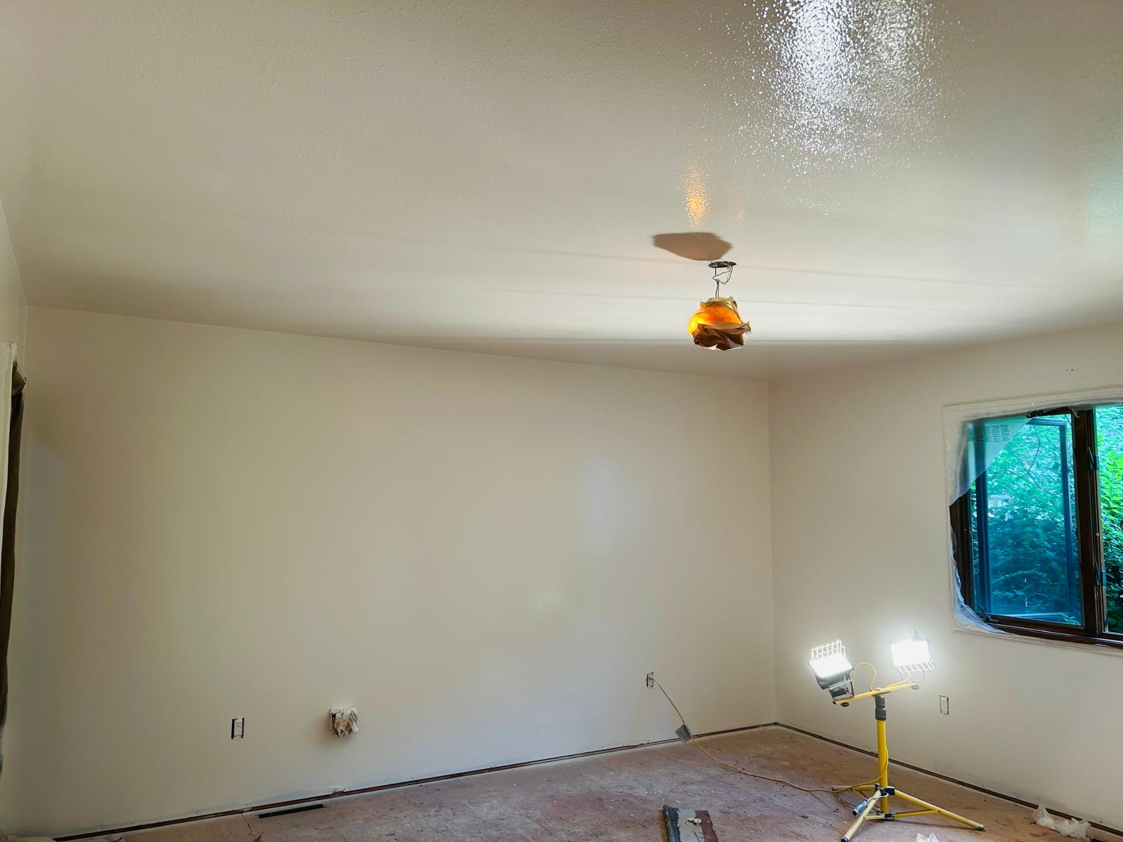 Whole-Home Interior Paint & New Floors, photo 7